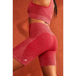 Ombre Seamless Ultra High-Waisted 6" Dark Sweet Cherry/Soft Shell